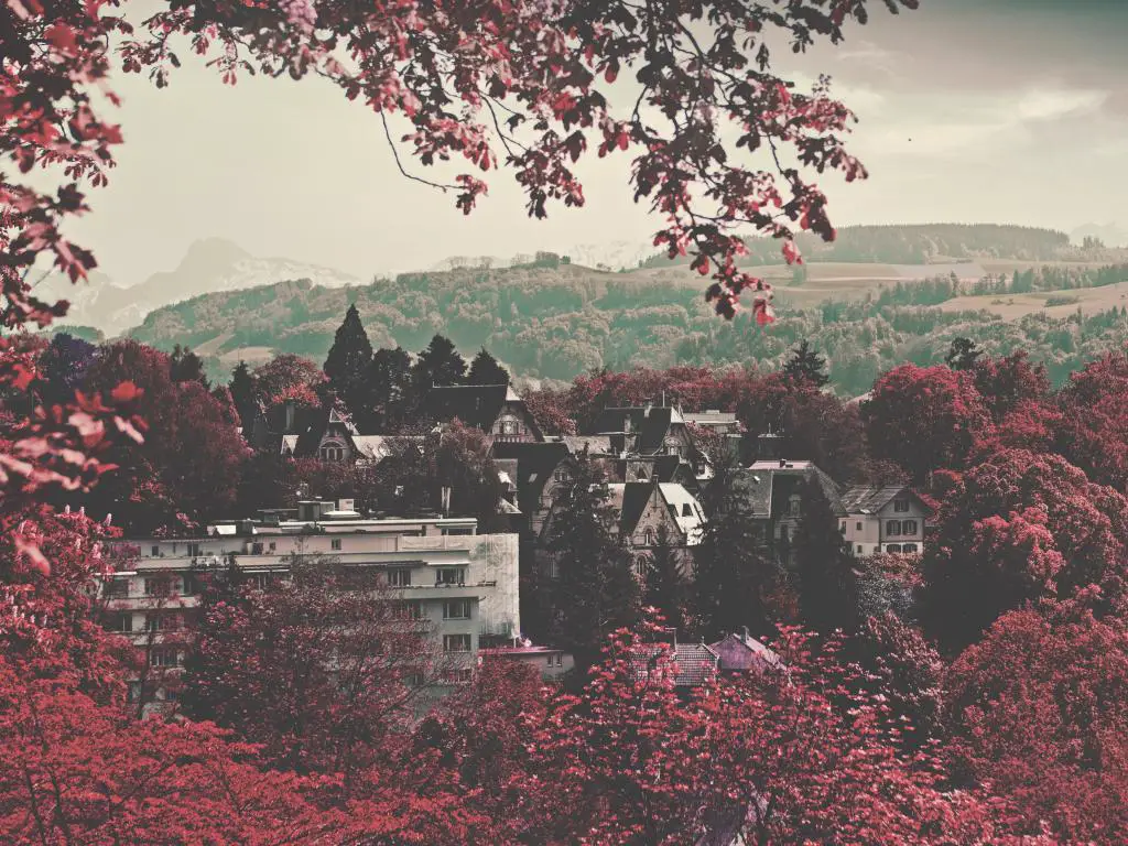 Árboles de hojas rojas rodean el cantón de Berna en Suiza