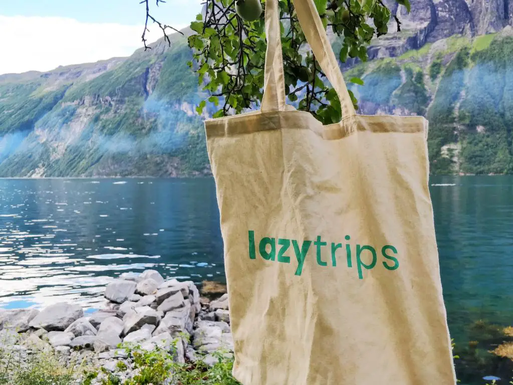 Bolso tote LazyTrips con el telón de fondo de un fiordo noruego