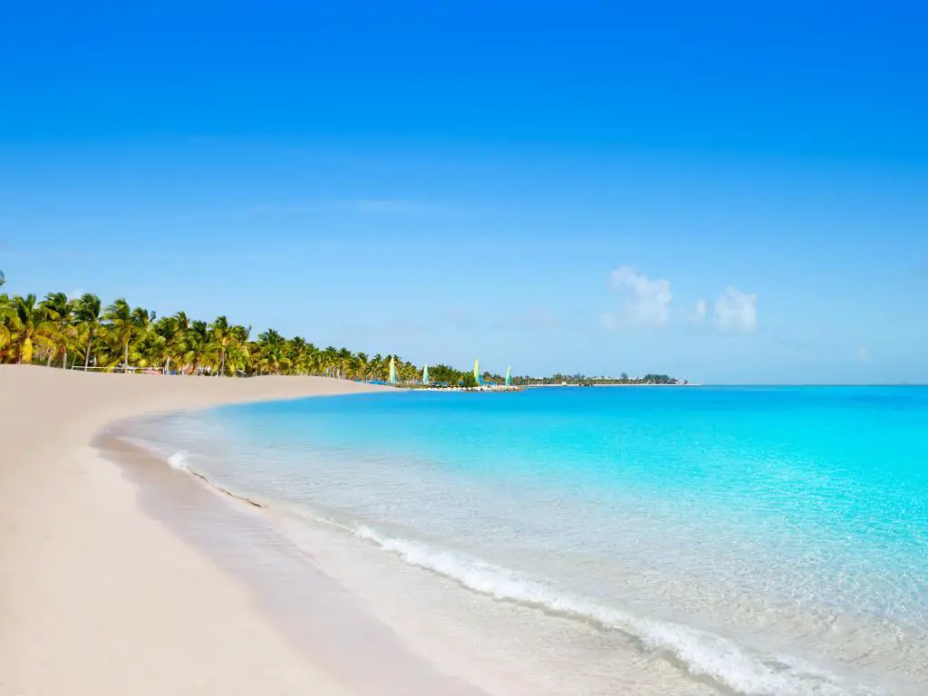 Key West Florida Smathers Beach palmeras en EE.UU.