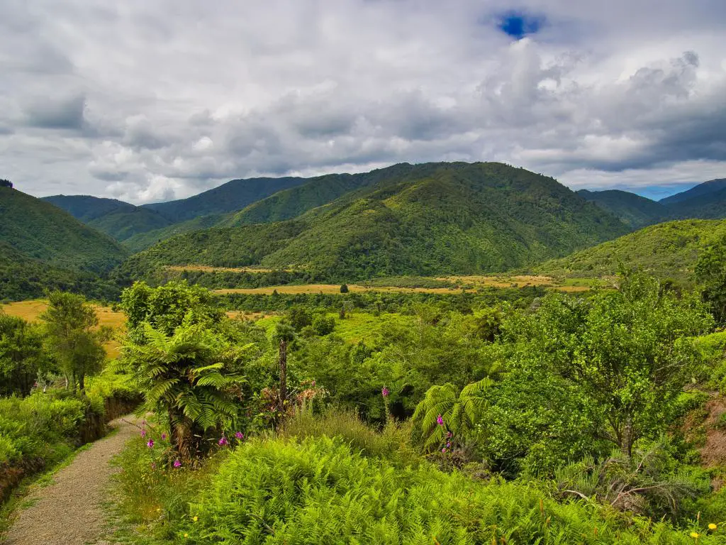 Parque forestal de Tararua, distrito de la costa de Kapiti, Isla Norte, Nueva Zelanda, tomada en Boielle Flat en el área de Otaki Forks del Parque forestal de Tararua, distrito de la costa de Kapiti, Isla Norte, Nueva Zelanda, una zona montañosa con selva tropical y marismas.