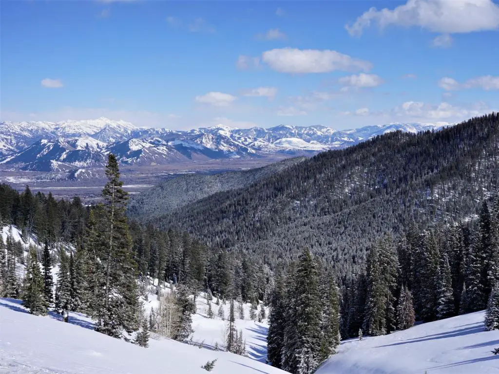 Caribou -Bosque Nacional Targhee, EE.UU. con montañas azules cubiertas de nieve y pinos en un día claro y soleado.