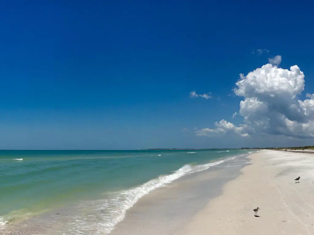 Isla Caladesi, Florida, EE.UU. Playa de arena blanca con olas verdes azules en la isla Caladesi