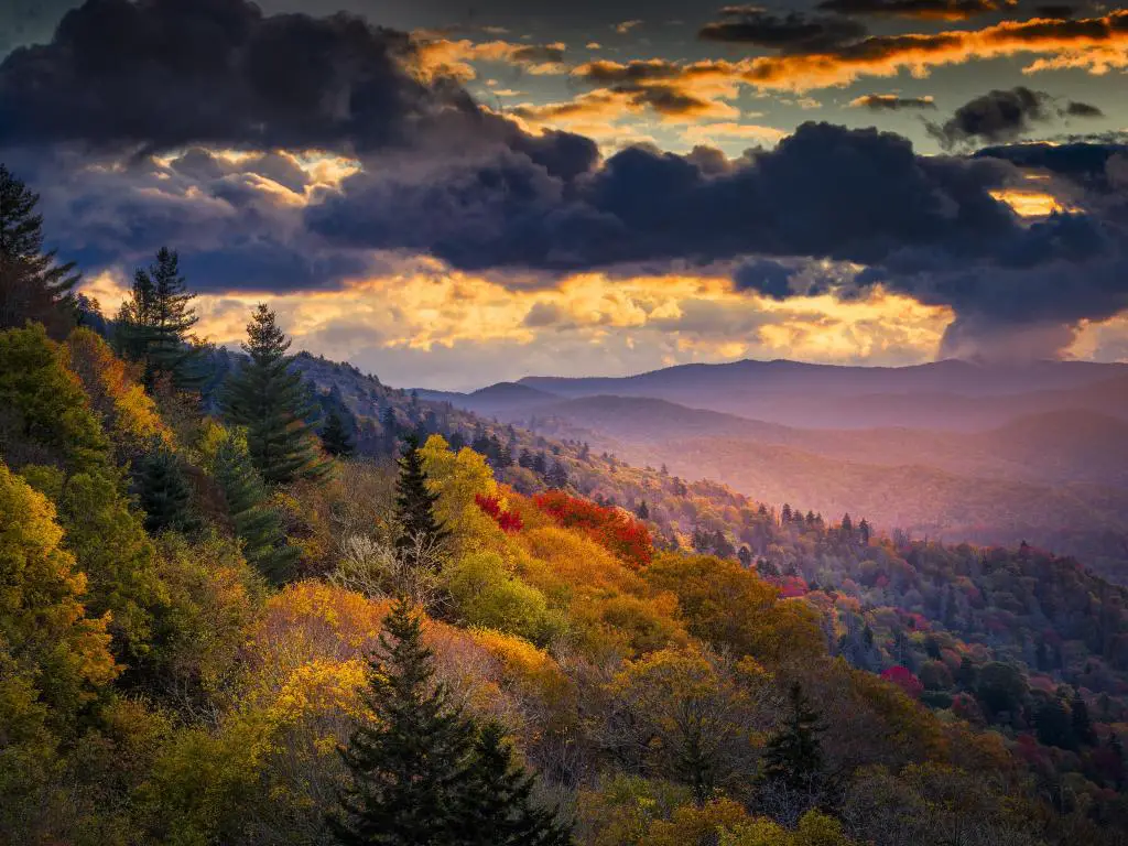 Parque Nacional Great Smoky Mountains, Carolina del Norte, EE.UU. con un solo eje de la luz del sol del amanecer dorado ilumina las crestas y valles otoñales en el Parque Nacional Great Smoky Mountains