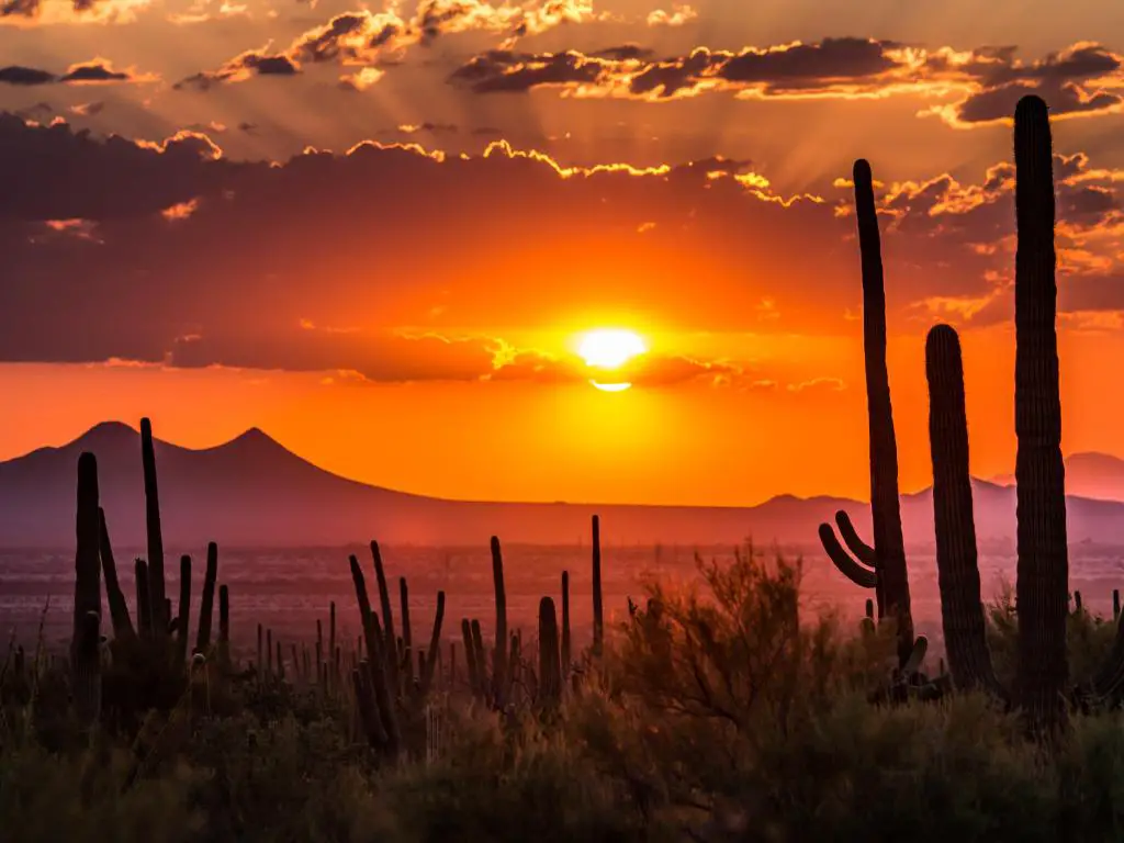 Puesta de sol sobre los picos de las montañas en Tucson, Arizona