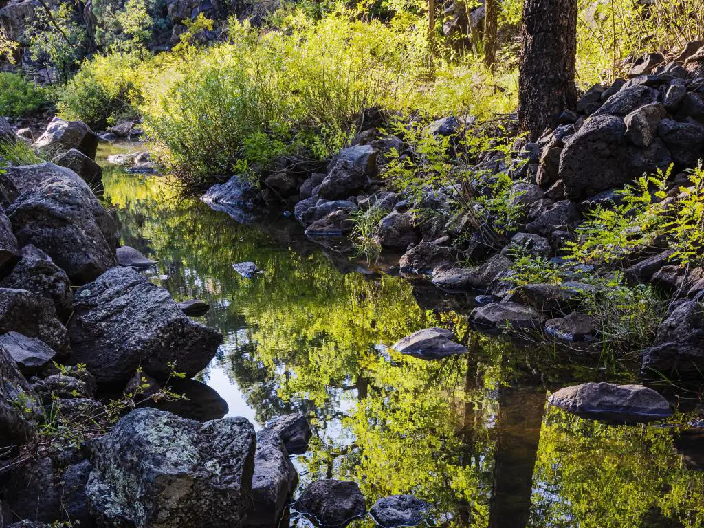 Un estanque reflectante a lo largo de Billy Creek en el sendero Moonridge en Pinetop-Lakeside, Arizona.