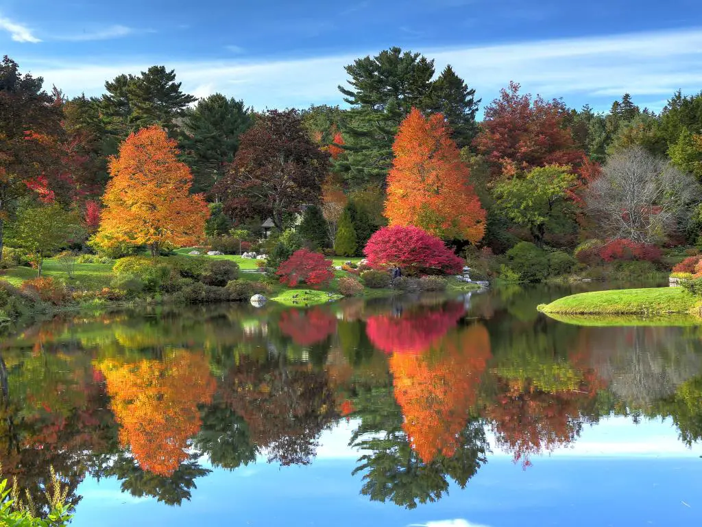 Reflejo del follaje de otoño en Asticou Azalea Garden cerca de Bar Harbor Maine.