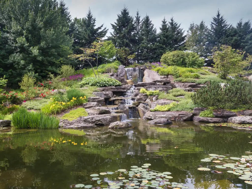 Lago japonés en Grand Rapids, Michigan, Estados Unidos Aguas tranquilas de un lago con cascada en un jardín japonés, rodeado de árboles y plantas.  Jardín Meijer, Grand Rapids, Michigan, Estados Unidos.