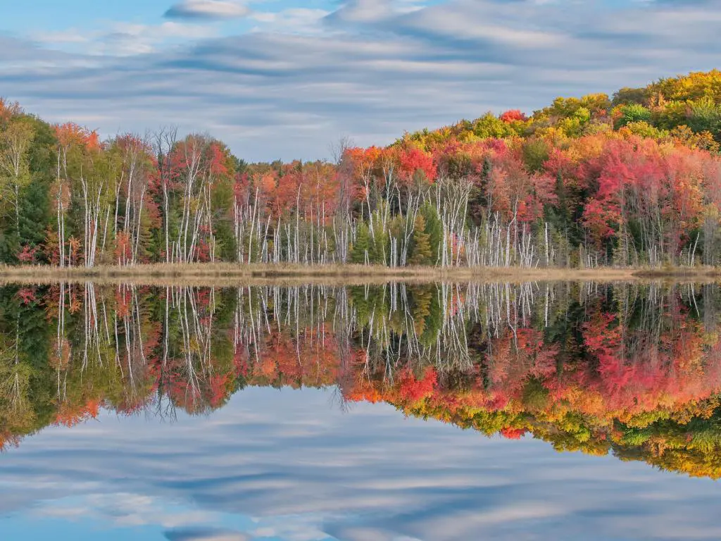 Paisaje otoñal del lago Council con reflejos de árboles y nubes en aguas tranquilas, Bosque Nacional Hiawatha, península superior de Michigan, EE.UU.