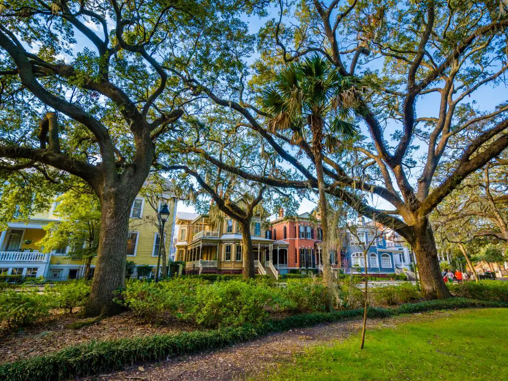 Casas históricas que bordean Forsyth Park con grandes robles vivos, en Savannah, Georgia