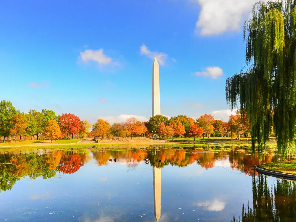 Monumento a Washington en otoño: una vista desde los jardines de la Constitución de Washington DC