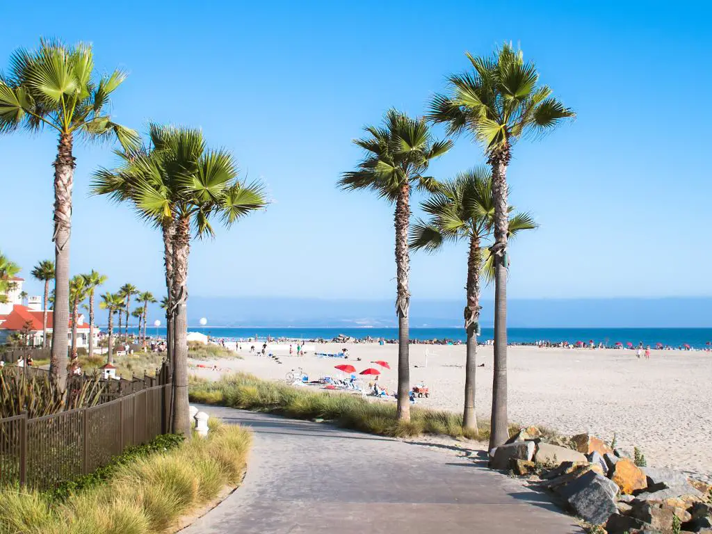 Las playas casi perfectas de San Diego son ideales para visitar durante todo el año