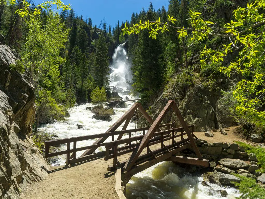 Un puente sobre el agua blanca de Fish Creek Falls cerca de Steamboat Springs, Colorado