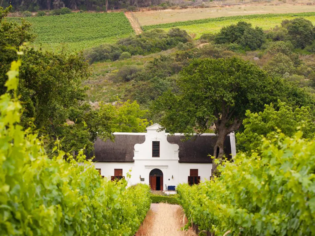 Viñedo con casa de campo de estilo colonial holandés en la zona vinícola de Sudáfrica