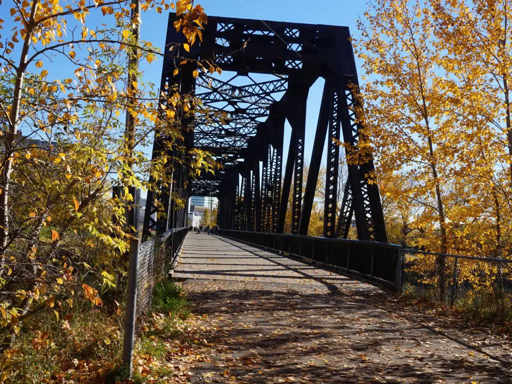 Viejo puente de tren sobre el río Red Deer, ahora parte del carril bici.  El río se puede ver desde ambos lados del puente donde se conecta a ambos lados del camino con el área boscosa del centro.
