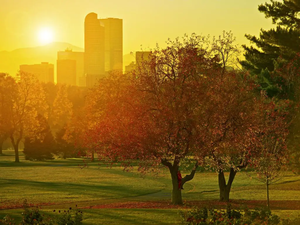 Un parque en Denver en otoño con hojas doradas y una hermosa puesta de sol