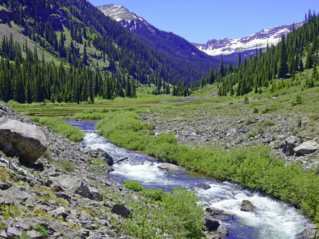Senderismo cerca de Denver en el verano: camine a lo largo de un arroyo en Elk Range, Rocky Mountains