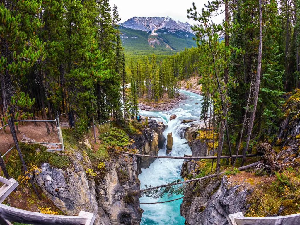 Parque Nacional Jasper, Canadá con una pequeña isla en el río, la cascada se precipita hacia las costas rocosas. 