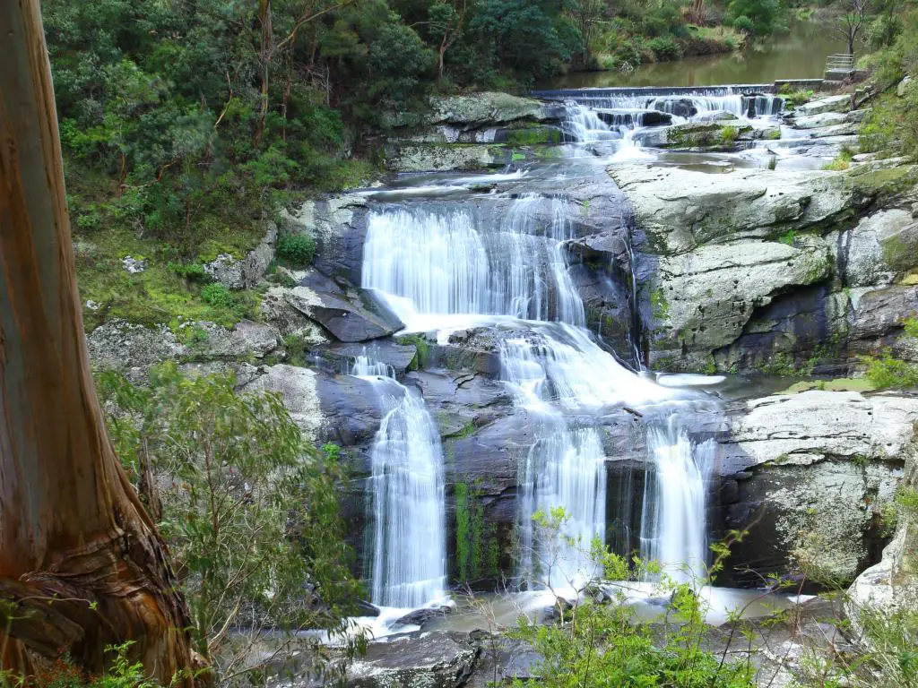 Agnes Falls, Hazel Park, Victoria con vistas a la cascada y los acantilados que la rodean.