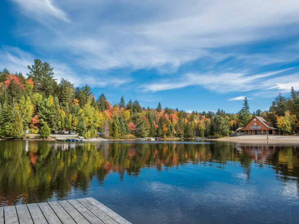 Lago rodeado de bosque en el Parque Provincial Algonquin, a 3 horas en auto desde Toronto