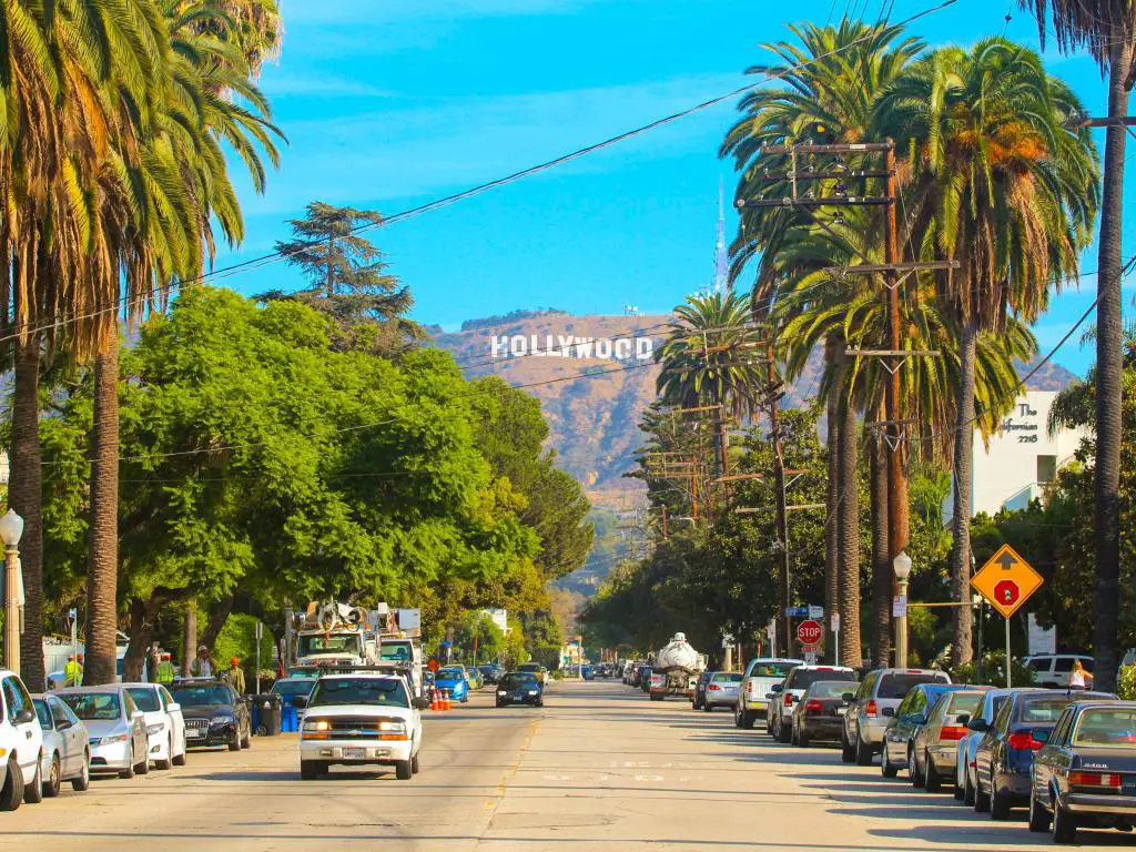 Letrero de Hollywood ubicado en las montañas entre grandes palmeras