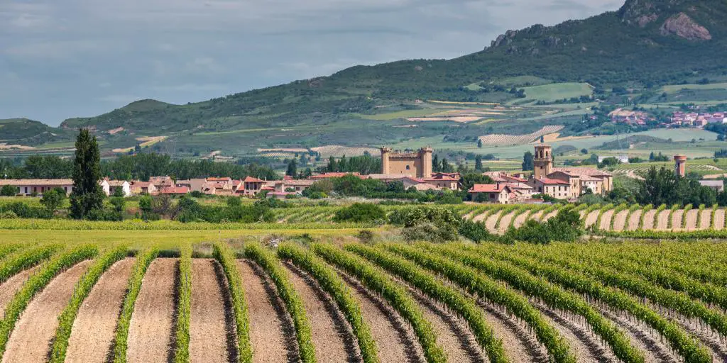 Viñedo de vino en La Rioja, España, con montañas al fondo