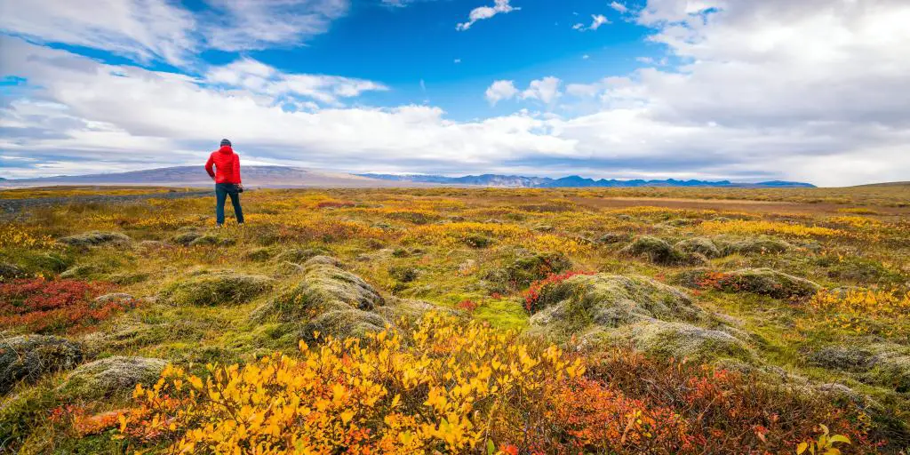 Un hombre de pie de espaldas a la cámara en un campo cubierto por los colores del otoño, Islandia
