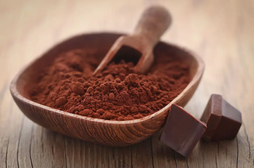 bol de cacao en polvo