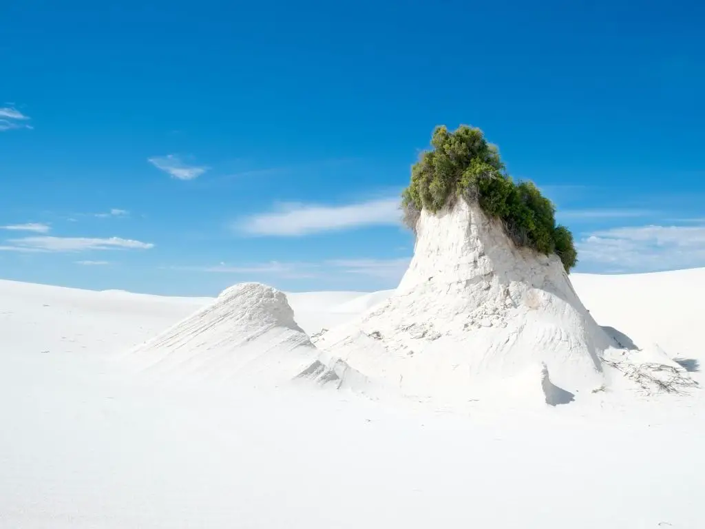 Monumento Nacional White Sands, El Paso, EE. UU. Con arena blanca, cielo azul y una planta que crece en la cima de un montículo. 