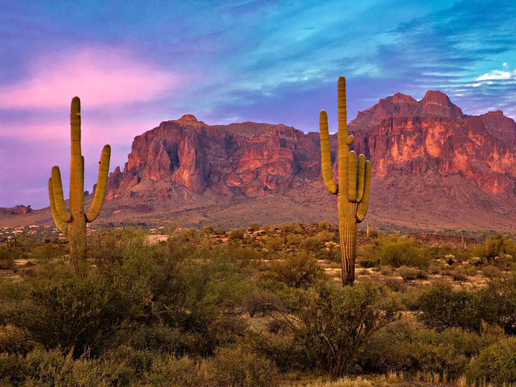 Phoenix, Arizona, EE.UU. con Saguaros al atardecer en el desierto de Sonora cerca de Phoenix.