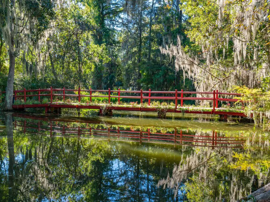 Cypress Gardens en Charleston, Carolina del Sur, EE.UU. con un puente rojo sobre el río y rodeado de árboles en un día soleado.