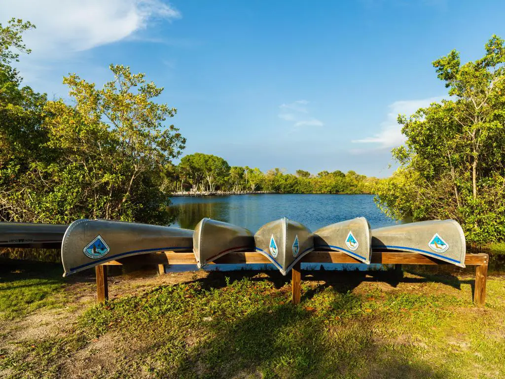 Canoas listas para alquilar en el parque estatal Collier-Seminole