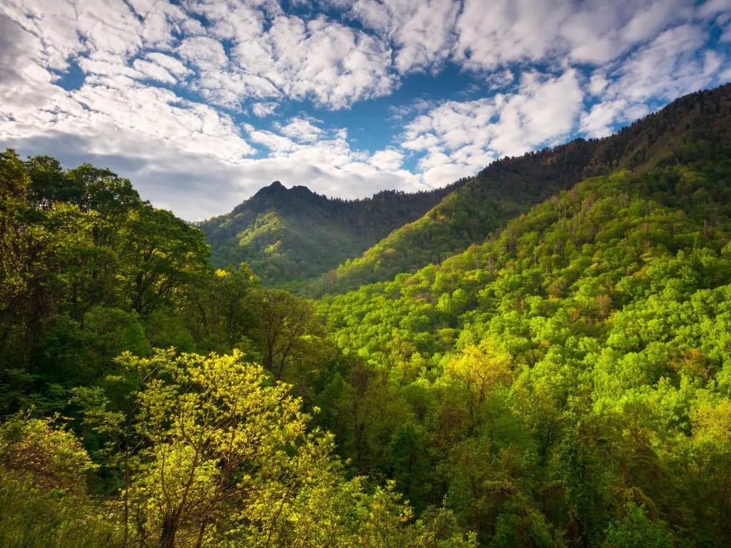 Parque Nacional Great Smoky Mountains, EE. UU., con un paisaje pintoresco con luz matinal saltando a través de la popular zona de senderismo The Chimneys.