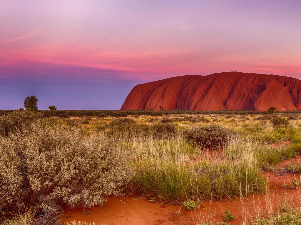 Ayers Rock, Uluru, Australia tomada al atardecer con la roca roja en la distancia y pastos y paisajes desérticos en primer plano.
