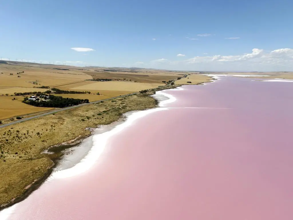 Lago Bumbunga, Australia del Sur con agua rosada y tierras planas en la distancia en un día claro y soleado.