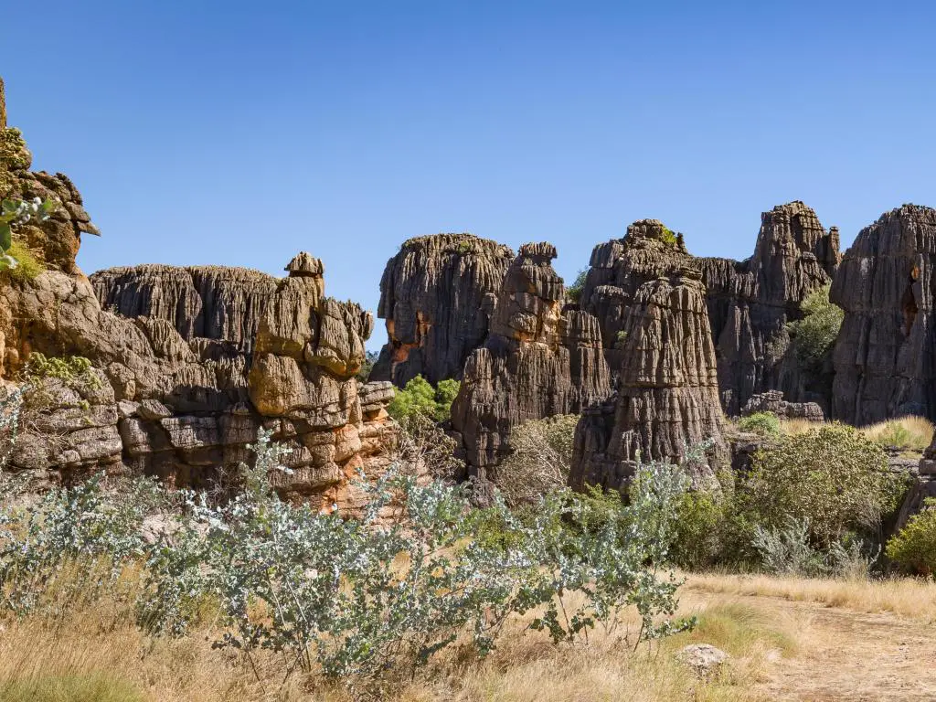 Mimbi Caves, Kimberley, Australia Occidental cerca de Fitzroy Crossing con árboles y pastos en primer plano y las fascinantes estructuras rocosas contra un cielo azul.