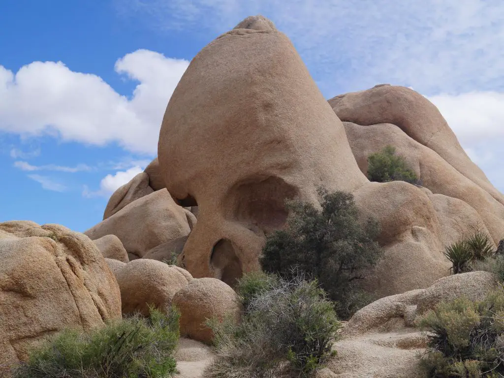 Skull Rock, Parque Nacional Joshua Tree, California, EE.UU. tomada en un día soleado.