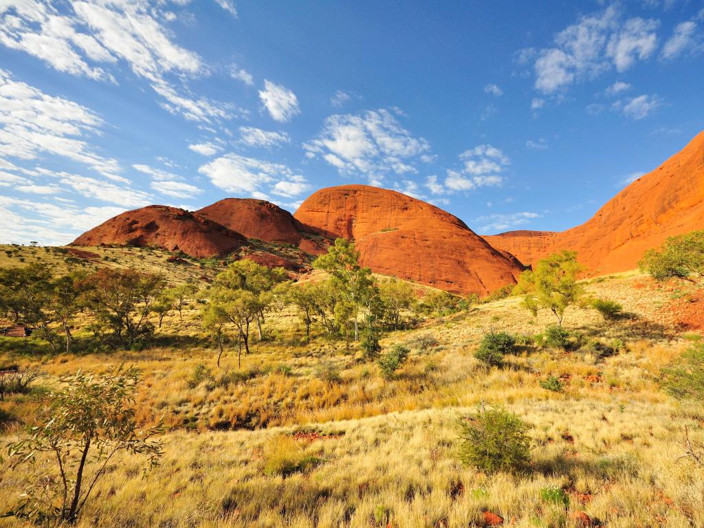 Alice Springs, Australia tomada en Kata Tjuta con formaciones rocosas de color naranja en el fondo y pastos verdes en primer plano en un día soleado.