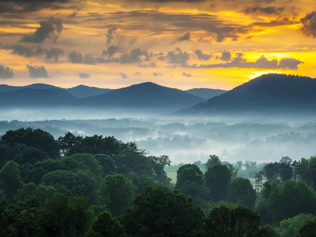 Asheville, NC, EE.UU. con vistas a las montañas Blue Ridge al atardecer con niebla y árboles en primer plano.