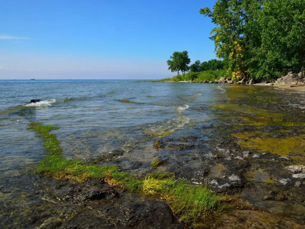 Lago Erie, EE.UU. tomado en una costa pacífica con árboles en la distancia y tomado en un día soleado. 