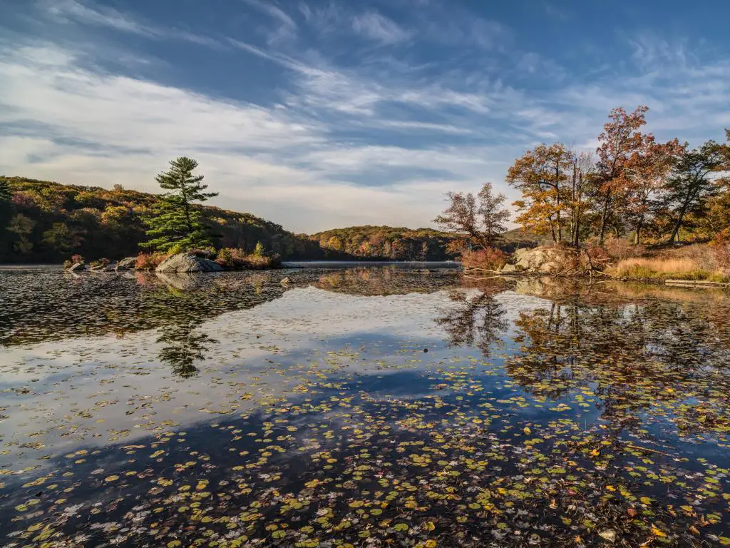 Harriman State Park, Estado de Nueva York, EE.UU. tomada en otoño por el lago con árboles esparcidos por la superficie. 