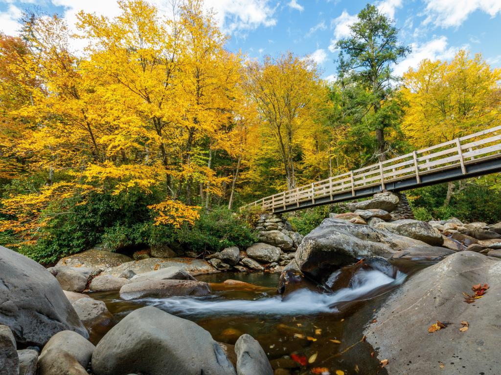 Parque Nacional Great Smoky Mountains, EE. UU. En el comienzo del sendero Chimney Tops en otoño con un río en primer plano y tomado en un día soleado.