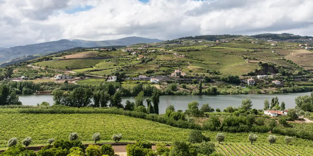 Viñedos verdes y colinas a lo largo del río en el valle del Duero, Portugal