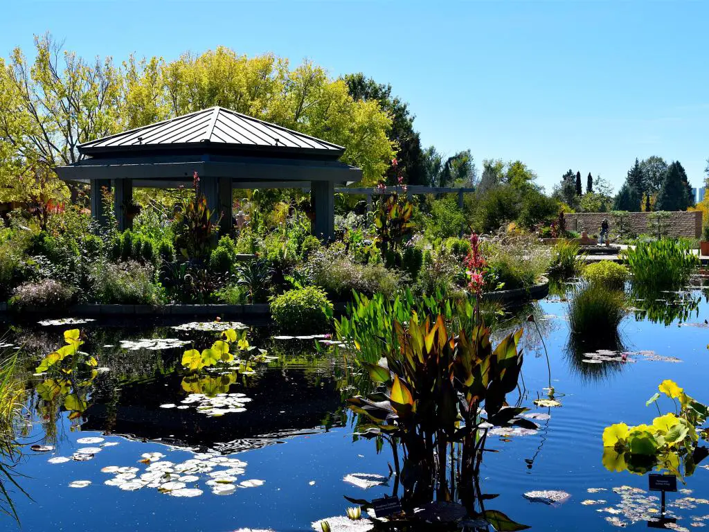 Hermosos Jardines Botánicos Escénicos en Denver en el verano.