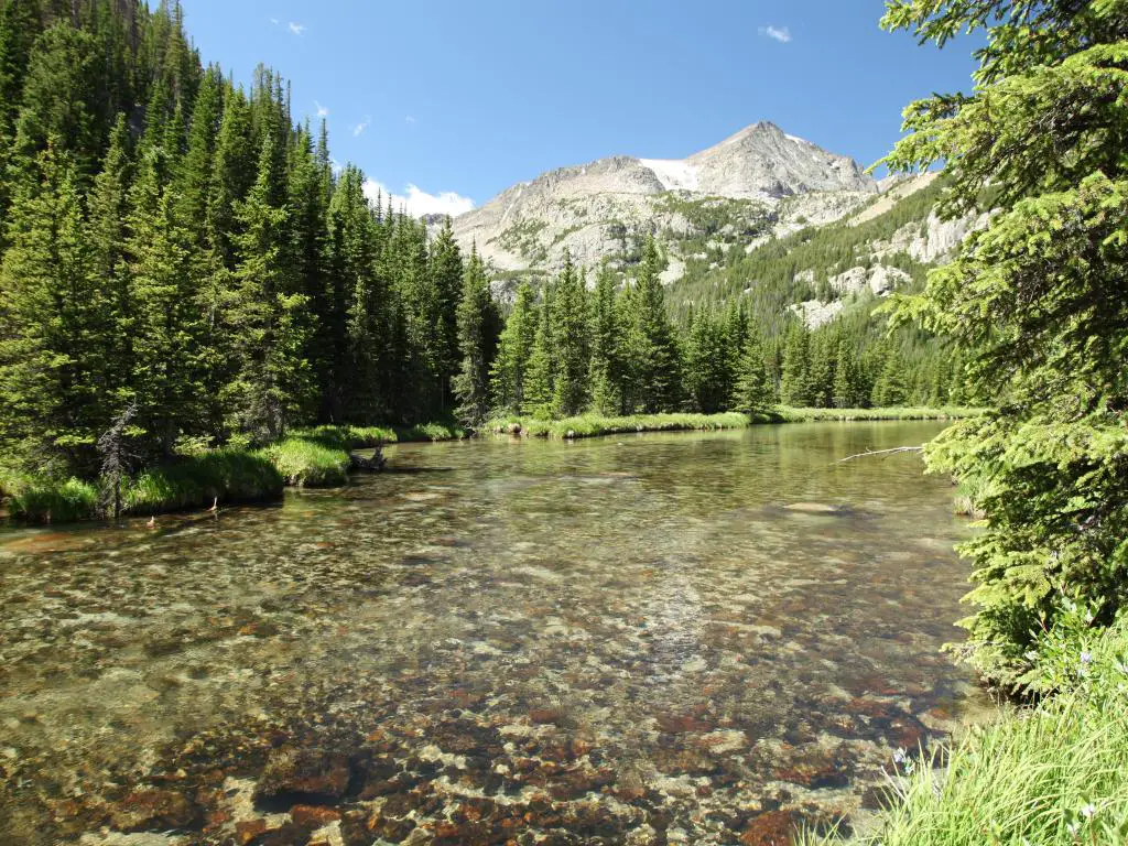 West Fork Rock Creek que fluye en las montañas Beartooth, Montana en el Bosque Nacional Custer Gallatin.