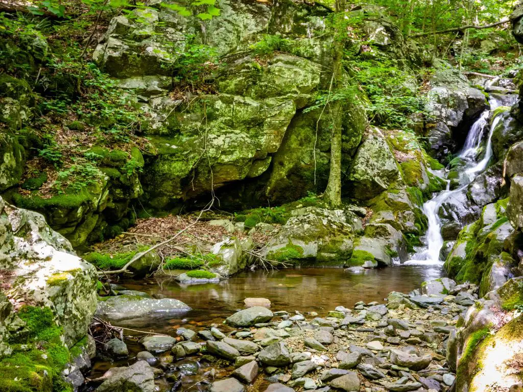 Parque Nacional Shenandoah, Virginia, EE. UU. Tomado en White Oak Canyon y Cedar Run trail loop cascadas y cascadas.