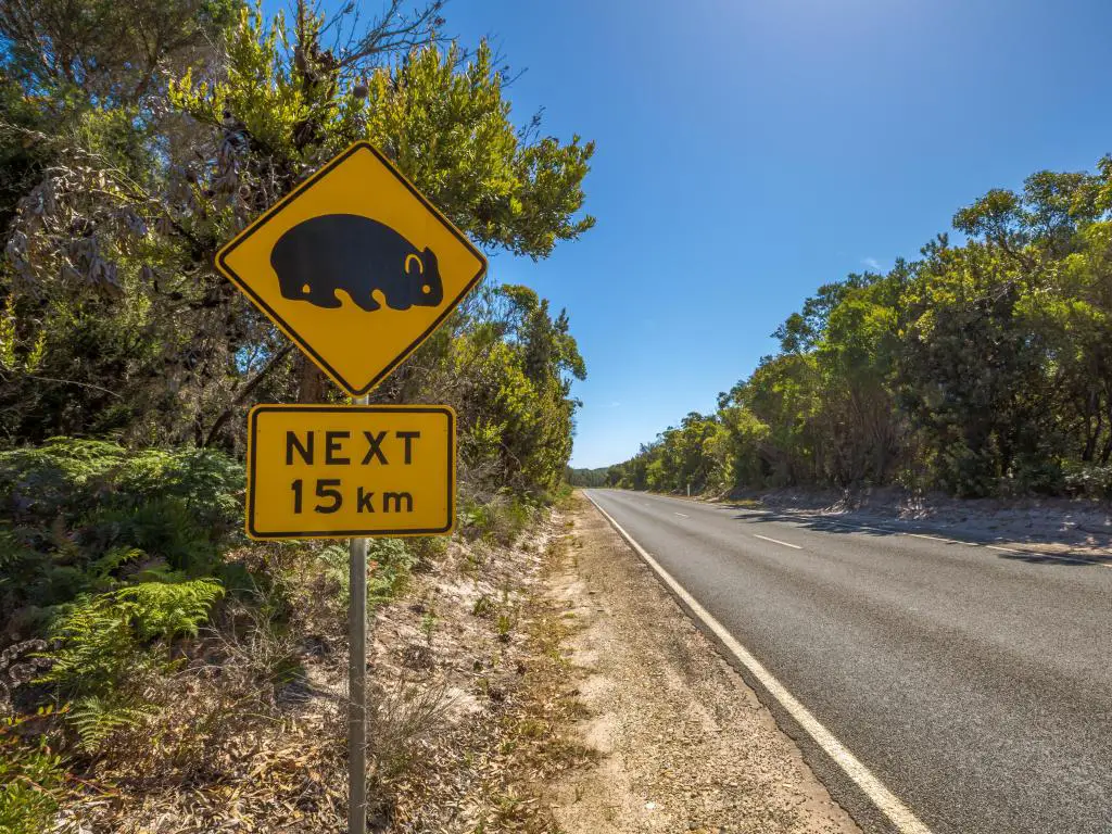 Señal de advertencia de cruce de wombat en la carretera de Tasmania