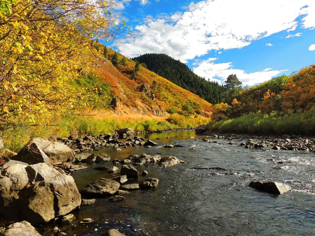 Platte River, Waterton Canyon, Littleton, Colorado, EE. UU. Tomada en otoño con una escena tranquila junto al río South Platte con colinas y árboles y un río en primer plano.