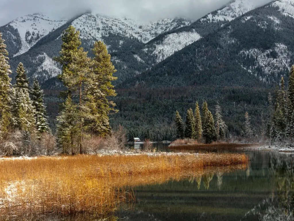Bosque Nacional Flathead, Montana, EE.UU. tomado durante el comienzo del invierno con nieve a lo largo del lago Holland en el Bosque Nacional Flathead.