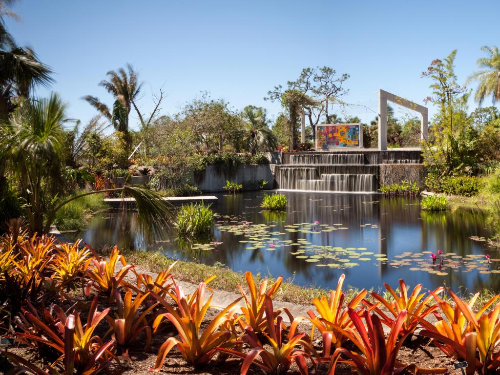 Jardines Botánicos de Nápoles en Nápoles, Florida, EE.UU. con el estanque reflectante con nenúfares y plantas que lo rodean en un día soleado.