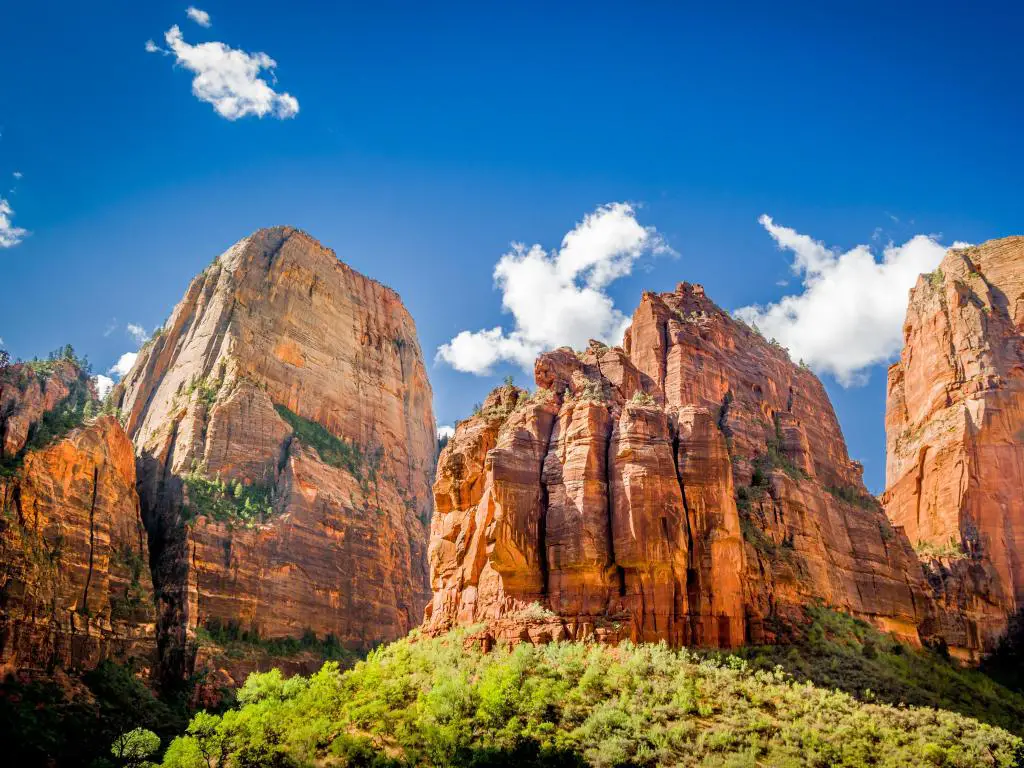 Parque Nacional Zion, Utah, EE. UU. Con un paisaje increíble de los tres patriarcas contra un cielo azul y plantas verdes en primer plano.